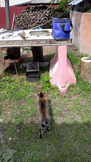 1000010753.mp4