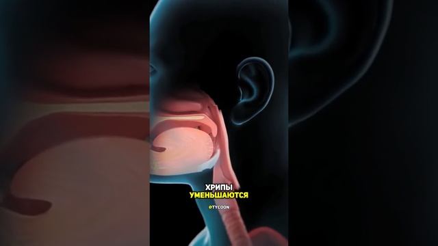 о пользе курения