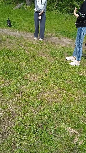 17-05-2025Сбор собачек на площадке для собак