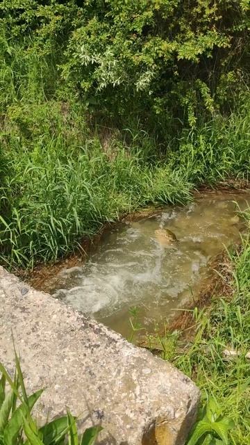 Нынче воды много!