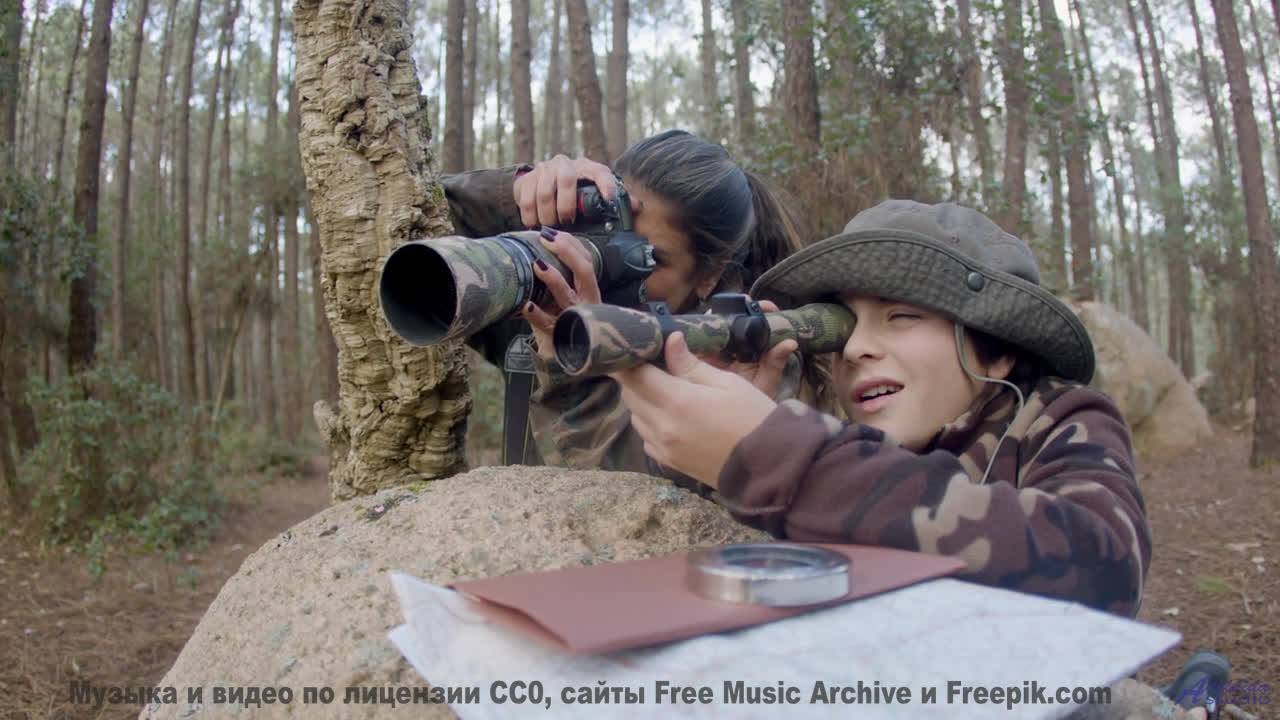 Что будет, если показать это видео хомяку Результат удивит! - On va exister -- M33 Project -- Unname