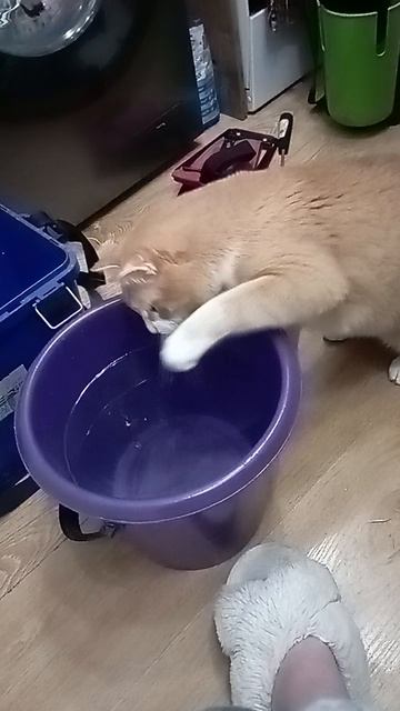 1000000692.mp4