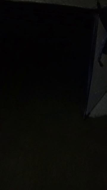 продолжаем кайфовать