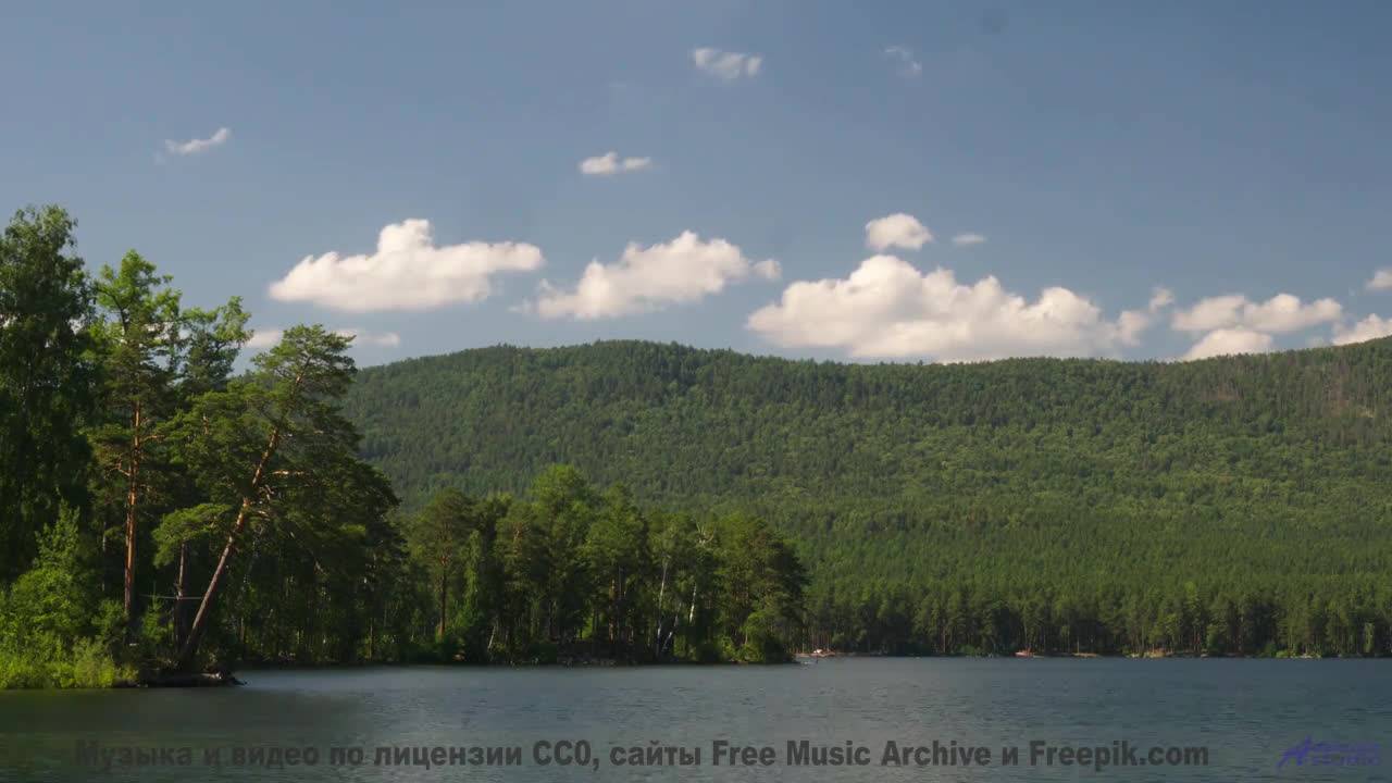 Когда деревья шепчут, а музыка подпевает! - Budsbursting -- Podington Bear -- Said Lion To Lamb (Box