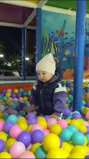 VID-20250419-WA0027