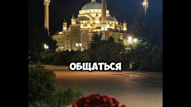 1000015731.mp4
