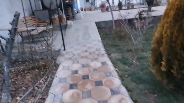 Двор, курочки, померанский шпиц. patio, chickens, Pomeranian.