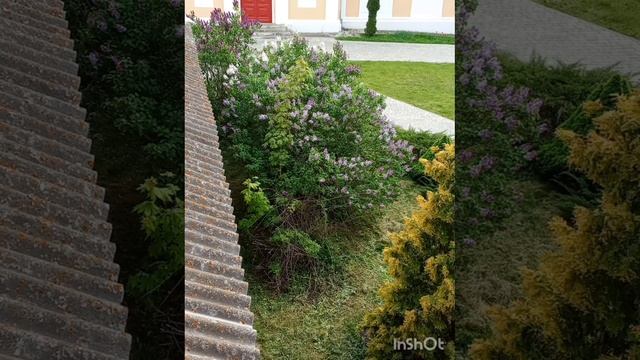 3А и 2Б на экскурсии Зарайск-Коломна