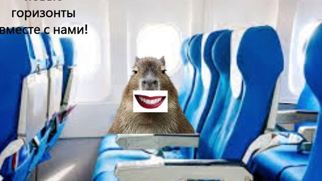 капибара реклама — сделано в Clipchamp