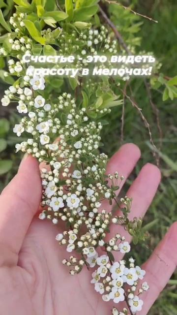 оно не в мужиках и женщинах точно! это состояние души!