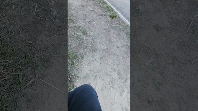типо мтрим рил