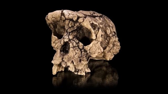Нови Открития Могат да Пренапишат Човешката История