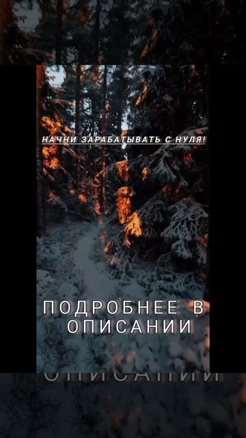 document_5280594790726005330