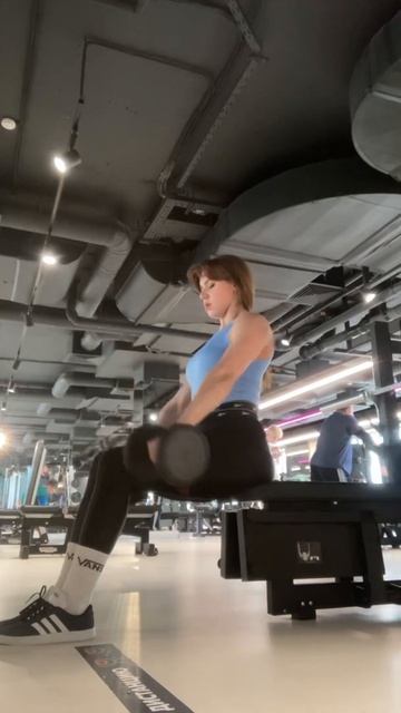 HFT27.Д6.4.Махи гантелей сидя перед собой 7кгх12 (16.04.22)