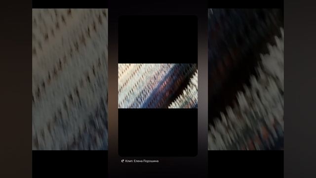 ✨Бактус крючком 🧶 ✨