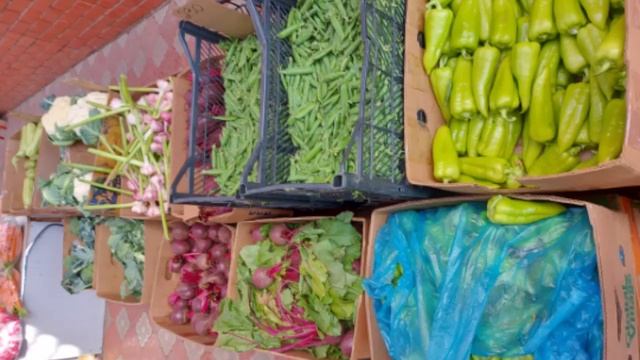 Дары Кубани в Подмосковье (10) — к6