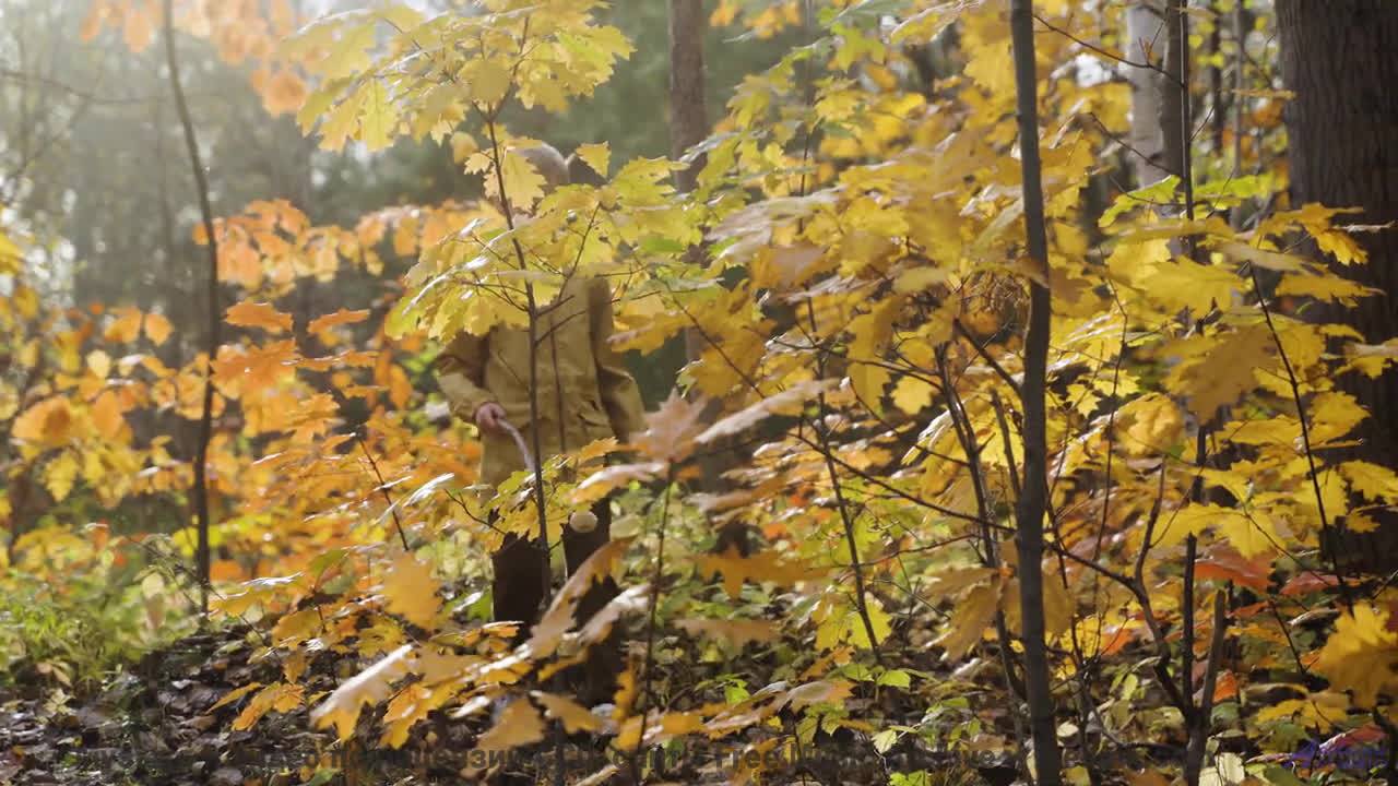Звуки, используемые для телепатии - первые успехи! - Red Wing -- A. A. Aalto -- Fest