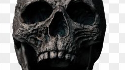 𓃵