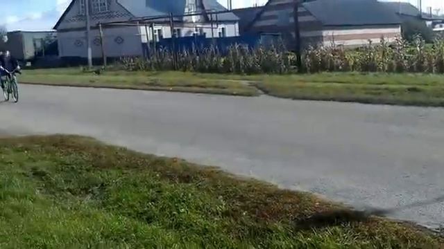 ГЭНГСТА ФИЛЬМ
