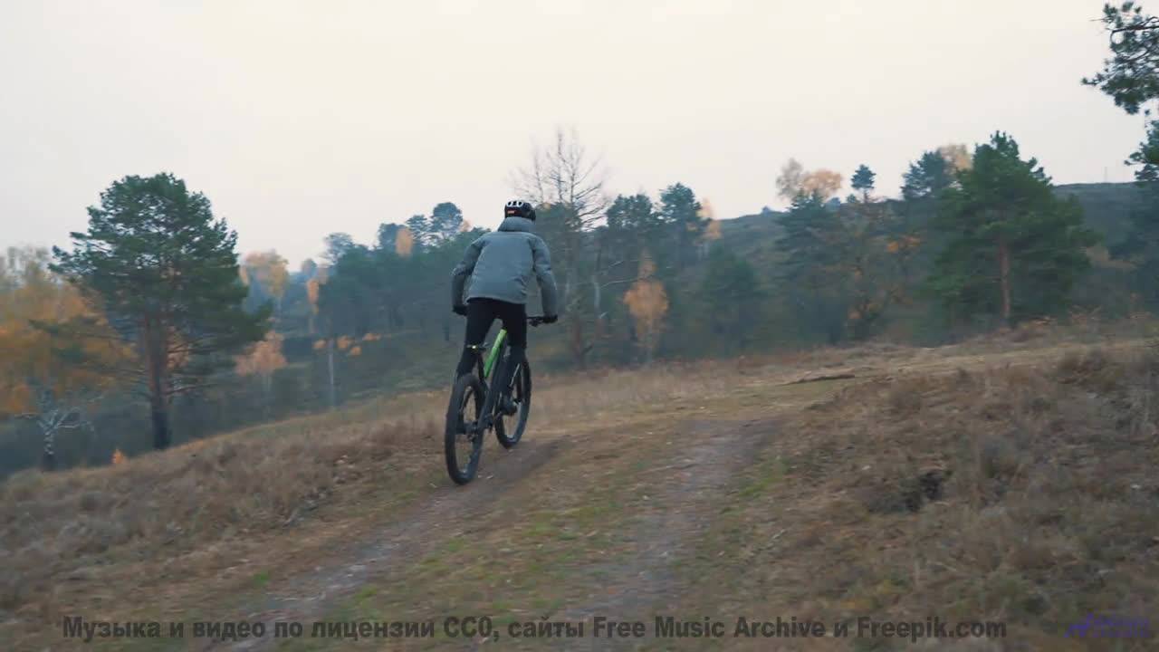 Леса поют, а сердце замирает при этом треке - Archipelago -- A. A. Aalto -- Fest