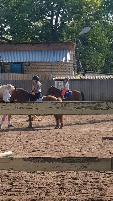 рысью