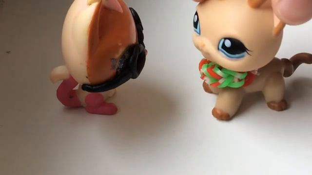 ТОП 5: типичных фраз типичных учителей 😝