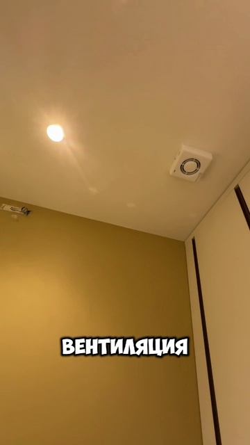 scene_output.mp4