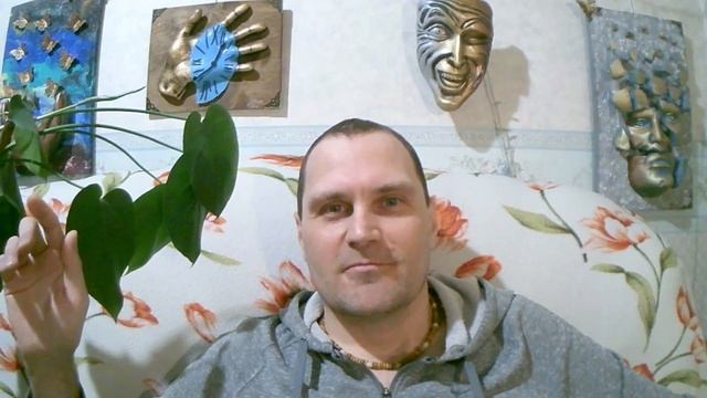 💗-Живое присутствие-💗 /Прямой Эфир/ 2025-05-17