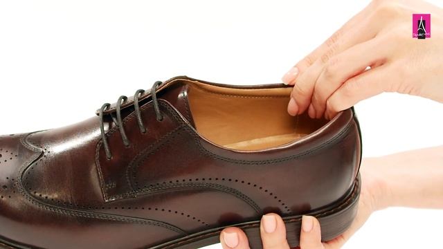 3511608 Видеообзор I Мужские дерби TENDANCE