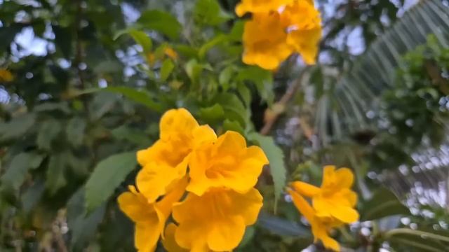 Вернувшись домой, Надя обомлела, когда из спальни вышл
