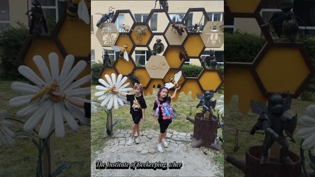 МБДОУ "Детский сад "Радуга"