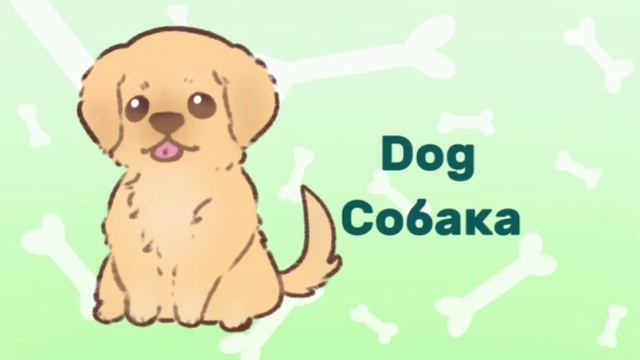 Обучающий мультик на Английском языке|| ANIMALS🐶🐱
