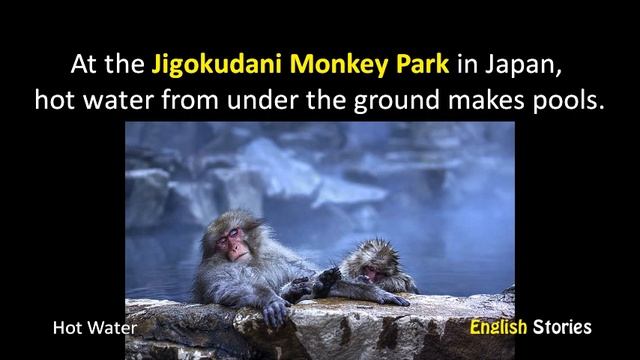 Incredible Earth by Richard Northcott - A1 - English Stories