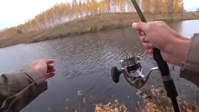 Что сьест щука_! Силикон, Воблер, Крупный силикон. Рыбалка на спиннинг осенью.