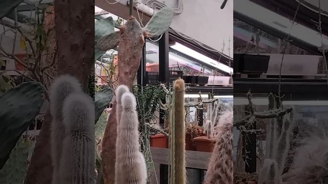 Ботанический Сад глазами ребёнка😁❤️Таисия в эфире, Таисия оператор🥰
