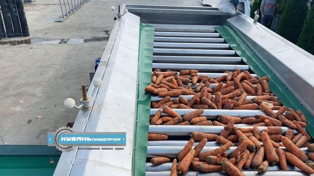 Калибровка моркови / ООО "Кубаньпищепром"
