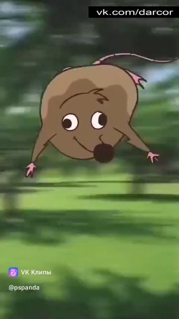1000011037.mp4