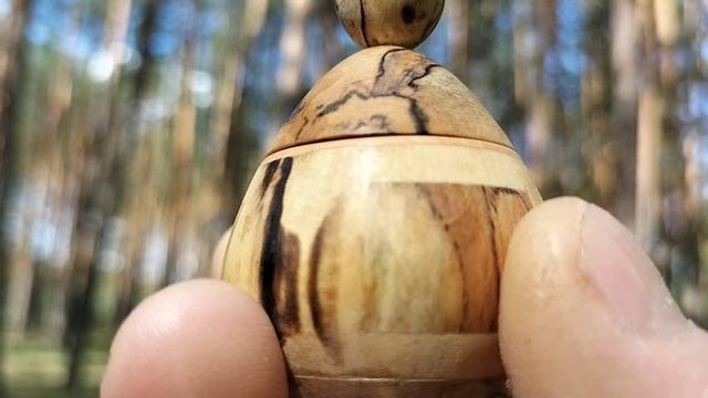 Шкатулка в весеннем лесу с незабудками