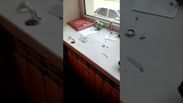 Дезинсекция от тараканов