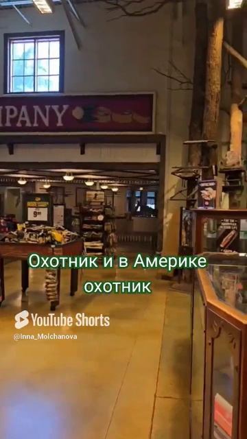 Таксидермисты-оформители 1000047865.mp4
