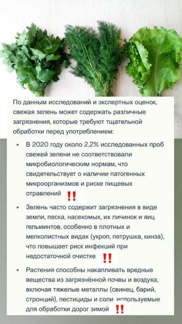 Зелень на вашем столе