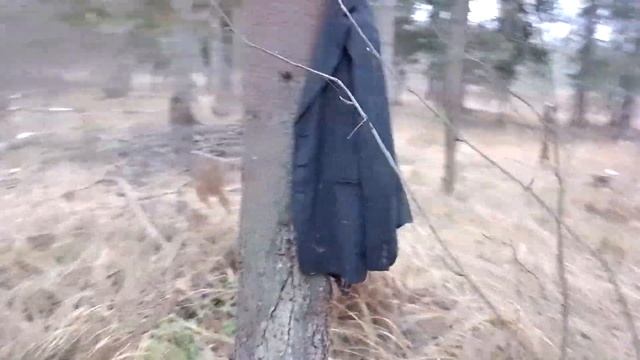 Пиджак в лесу
