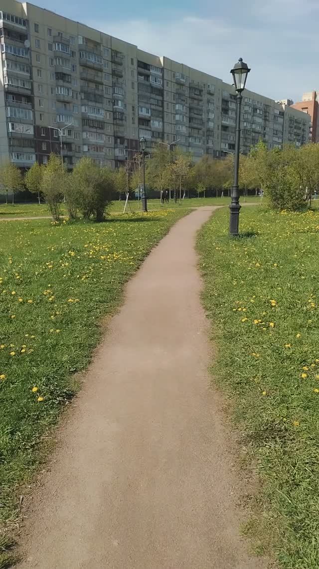 Катаюсь на велосипеде. 17 мая 2025.