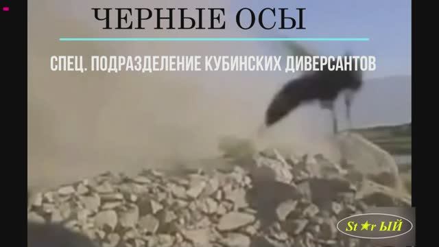 Кубинский спецназ "Черные осы". Возникают из неоткуда, смертельно жалят и исчезают в никуда