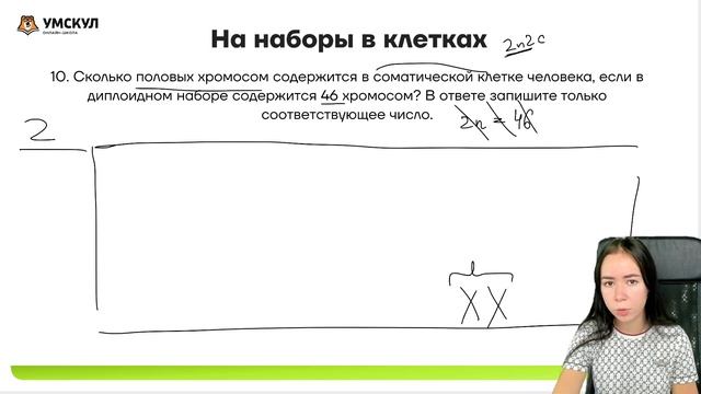 Задание 3 биология ЕГЭ: разбор с нуля | Умскул