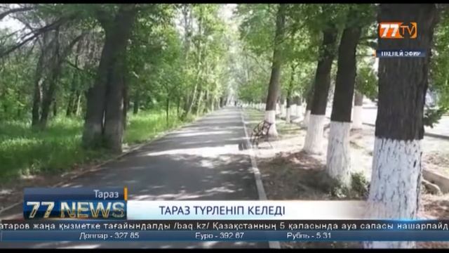 ТАРАЗ ТҮРЛЕНІП КЕЛЕДІ