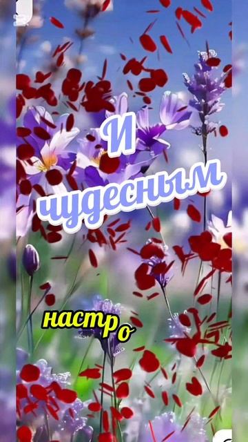 добренько утречко)