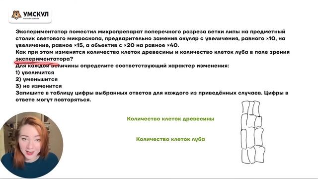 Разбор задания 2 биология ЕГЭ | Умскул