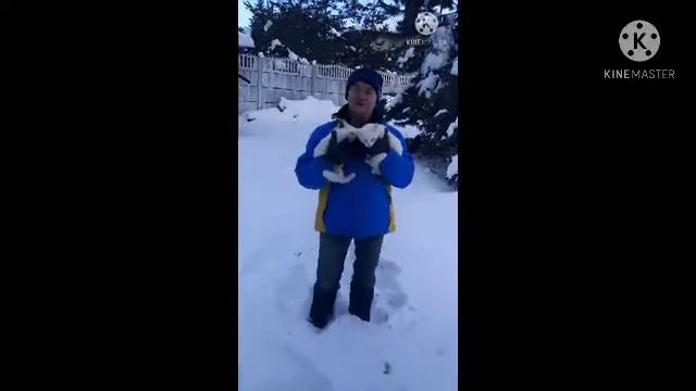 эх снег снежок и белочка
