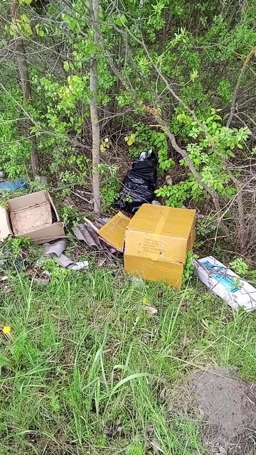 Похождения "злых англосаксов" в "Святой Руси" 1.